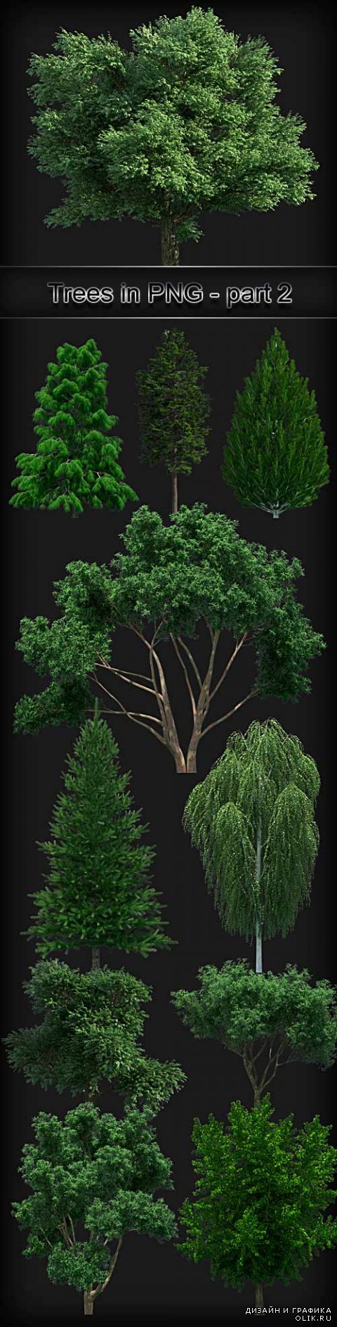 Trees on a transparent background PNG - 2