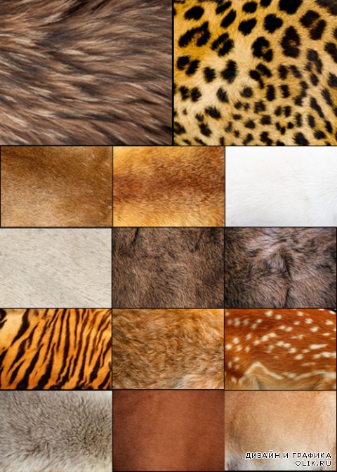 High quality texture of fur animals