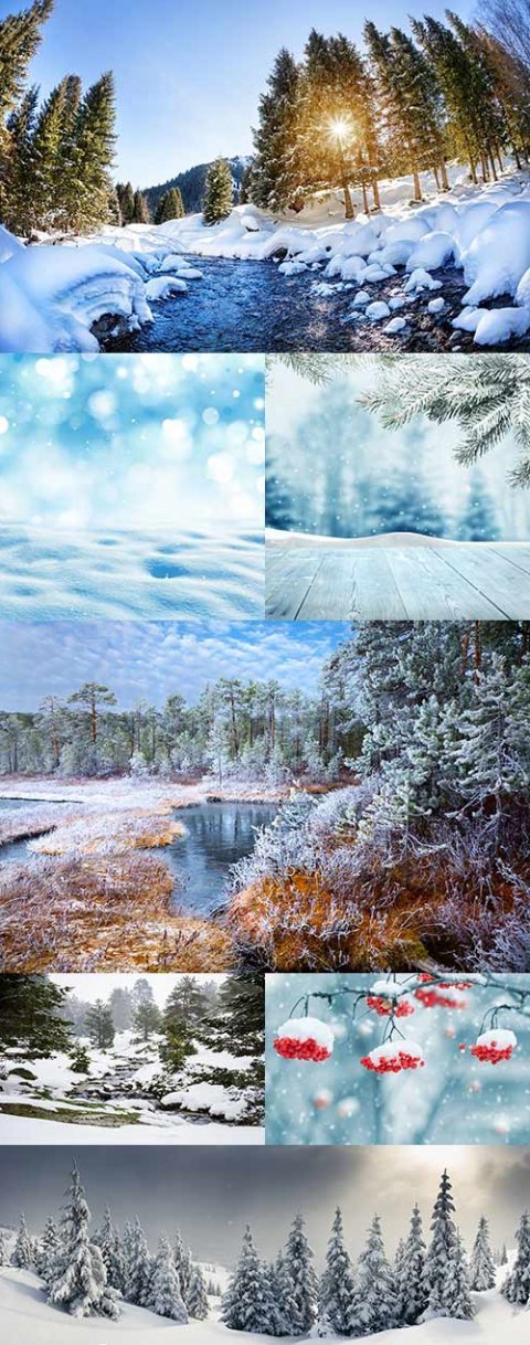Зимний растровый клипарт - природа России, заснеженные поля, ветви, ягоды в снегу