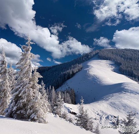 Зимний растровый клипарт - природа России, заснеженные поля, ветви, ягоды в снегу