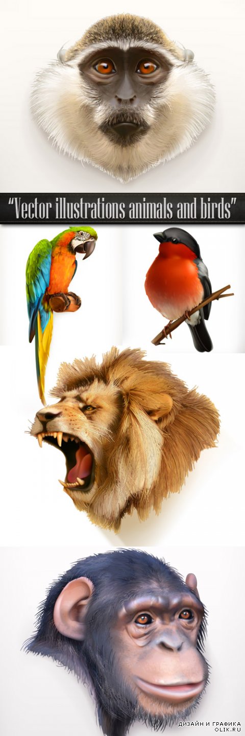 Векторные иллюстрации животных и птиц