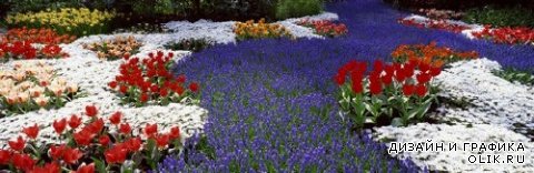 Поля и луга, цветы и трава - панорамные изображения (подборка)