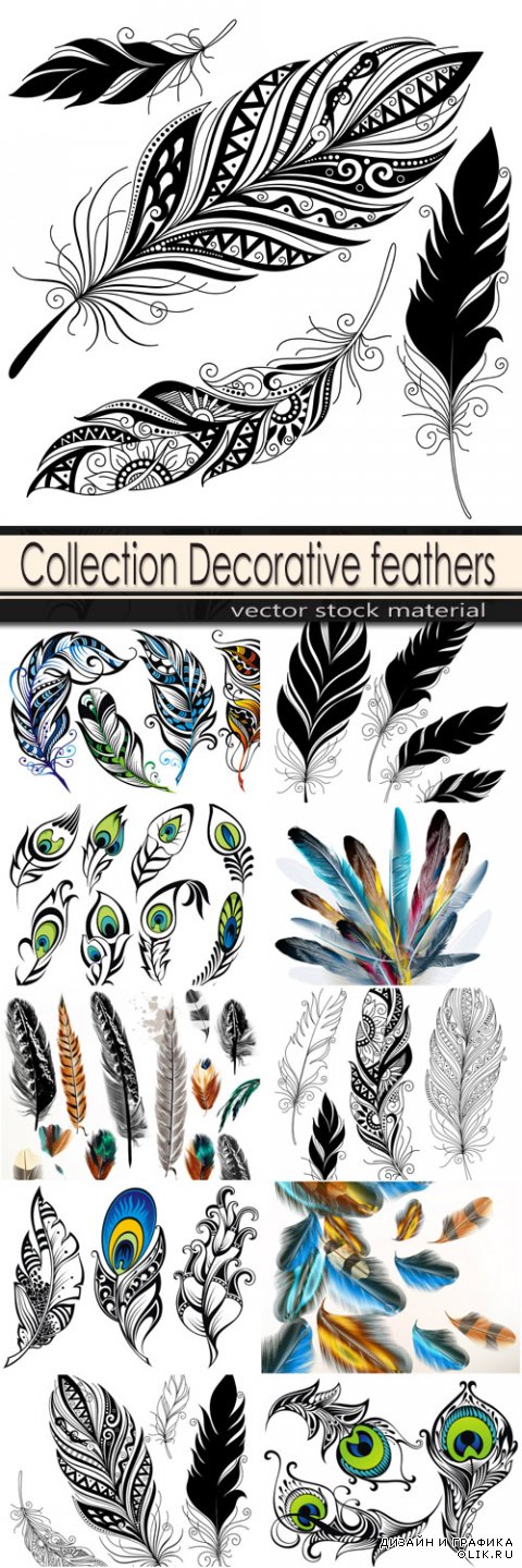 Decorative feathers with patterns
