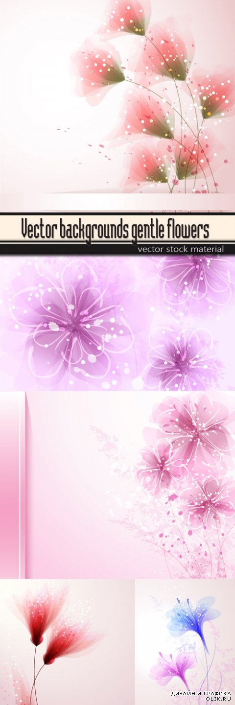 Vector backgrounds gentle flowers