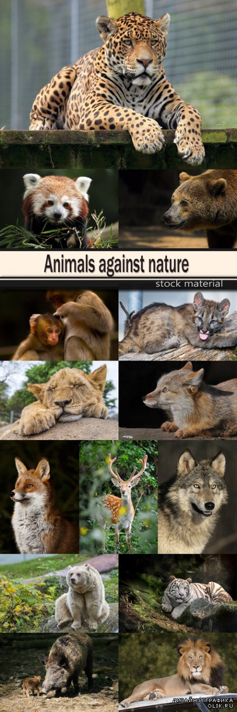 Animals against nature