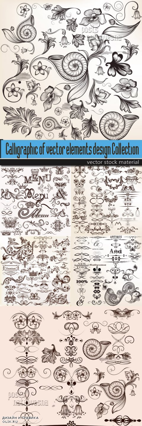 Calligraphic of vector elements design Collection