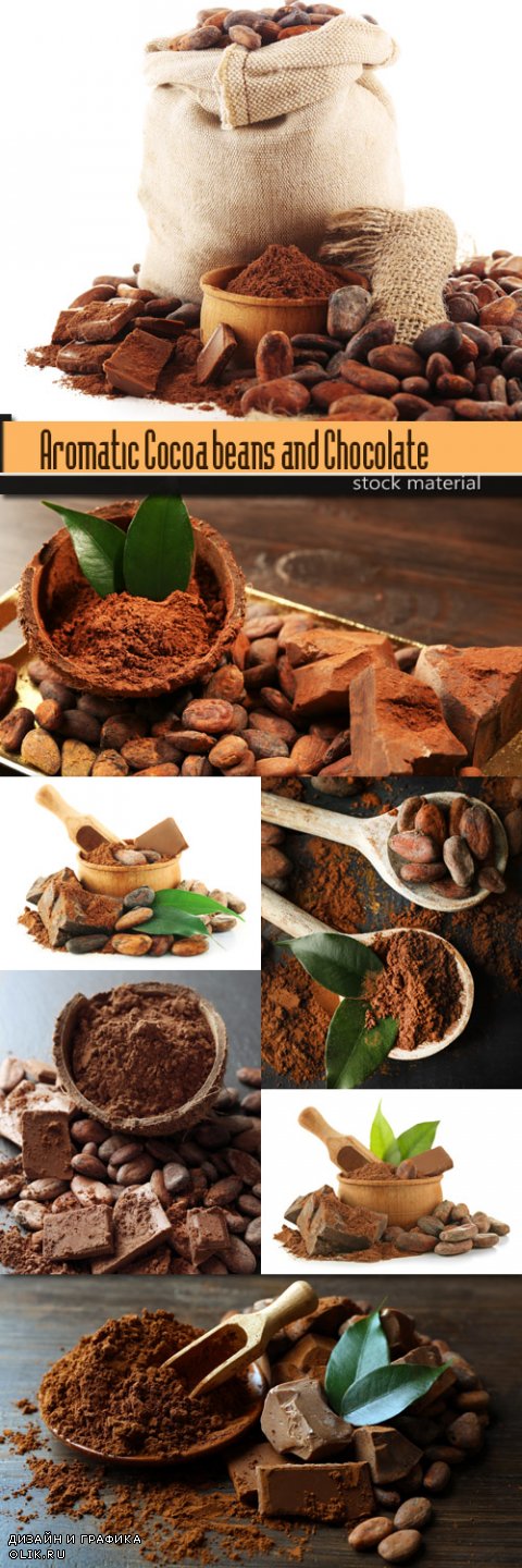 Aromatic Cocoa beans and Chocolate on wooden background