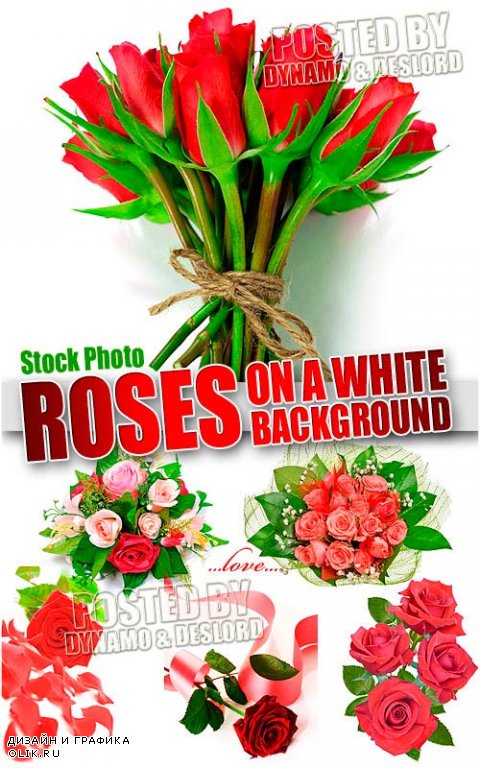 Розы на белом фоне - Растровый клипарт
