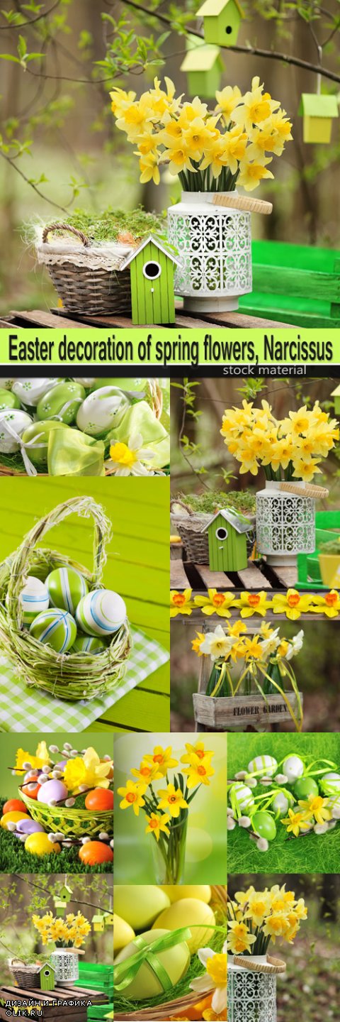 Easter decoration of spring flowers, Narcissus