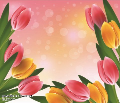 Beautiful spring flowers - Прекрасные весенние цветы