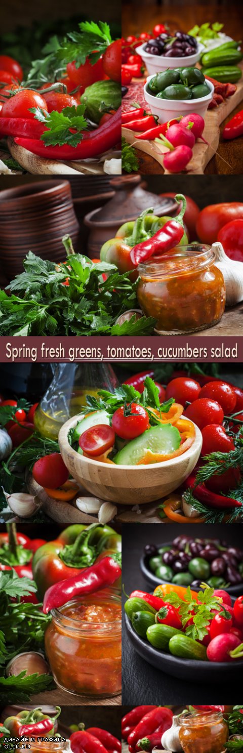 Spring fresh greens, tomatoes, cucumbers salad