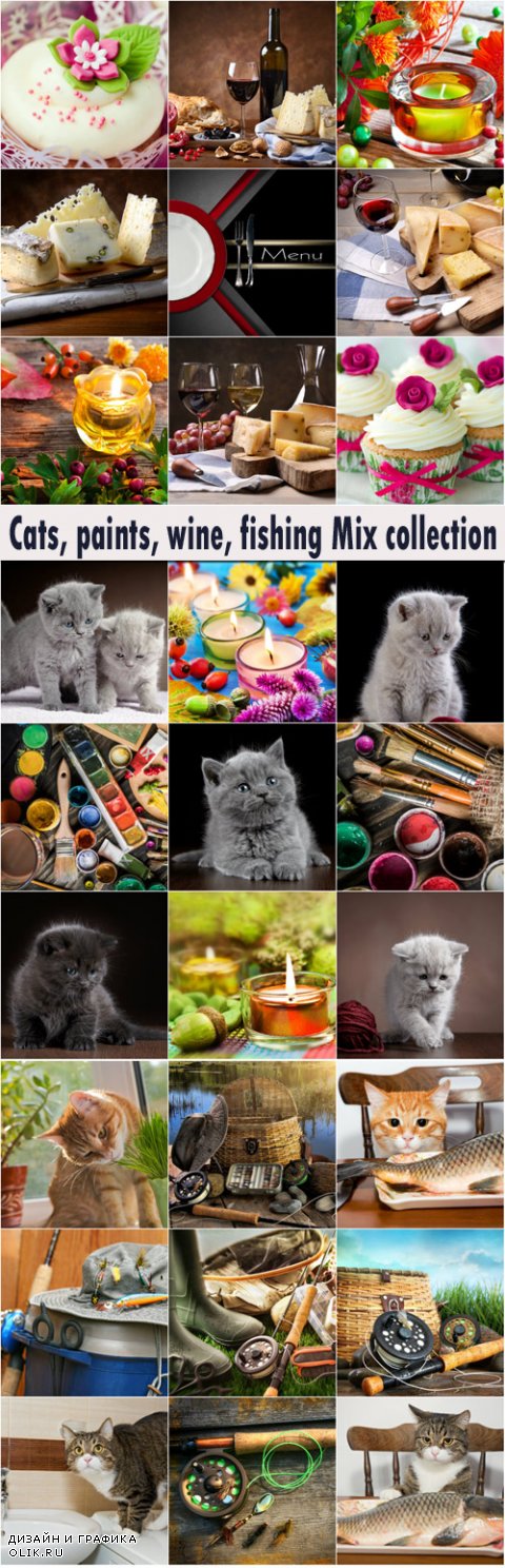 Cats, paints, wine, fishing Mix collection