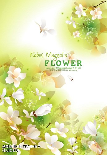 Нежные фоны с весенними цветами - Gentle backgrounds with spring flowers