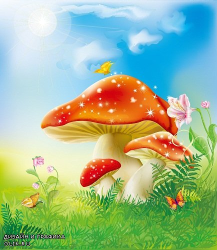 Грибы - Mushrooms