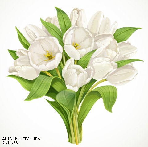 Фоны с тюльпанами - Backgrounds with tulips