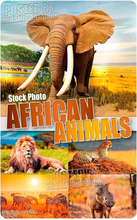 Африканские животные - Растровый клипарт