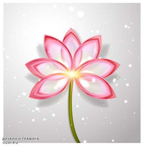 Цветок лотоса в векторе | Lotus Flower Abstract