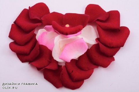 Сердечки из лепестков роз (подборка)