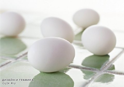 Яйцо (подборка изображений)