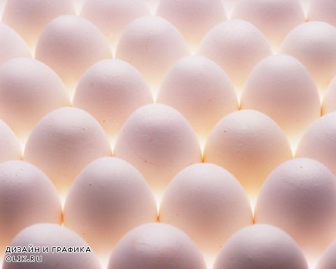 Яйцо (подборка изображений)