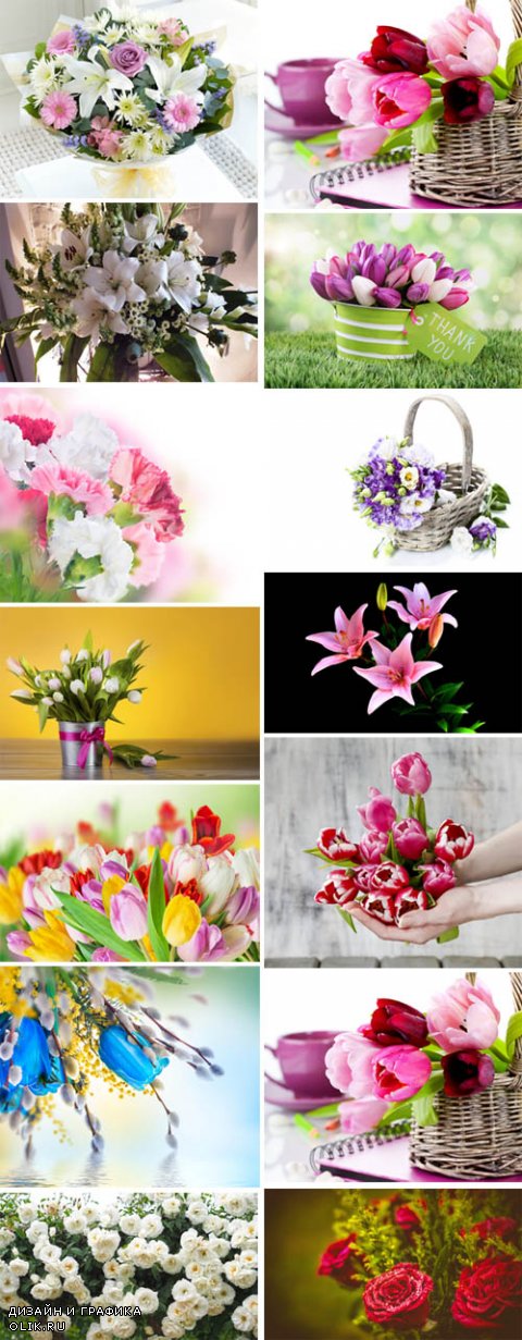 Beautiful Flowers Collection p.1