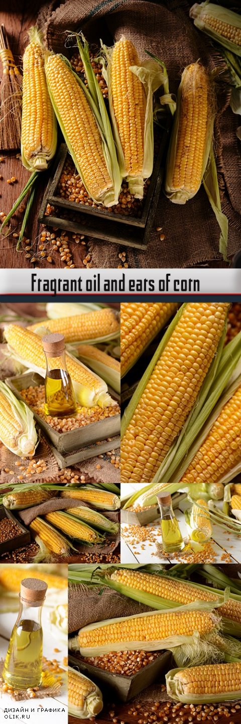 Fragrant oil and ears of corn