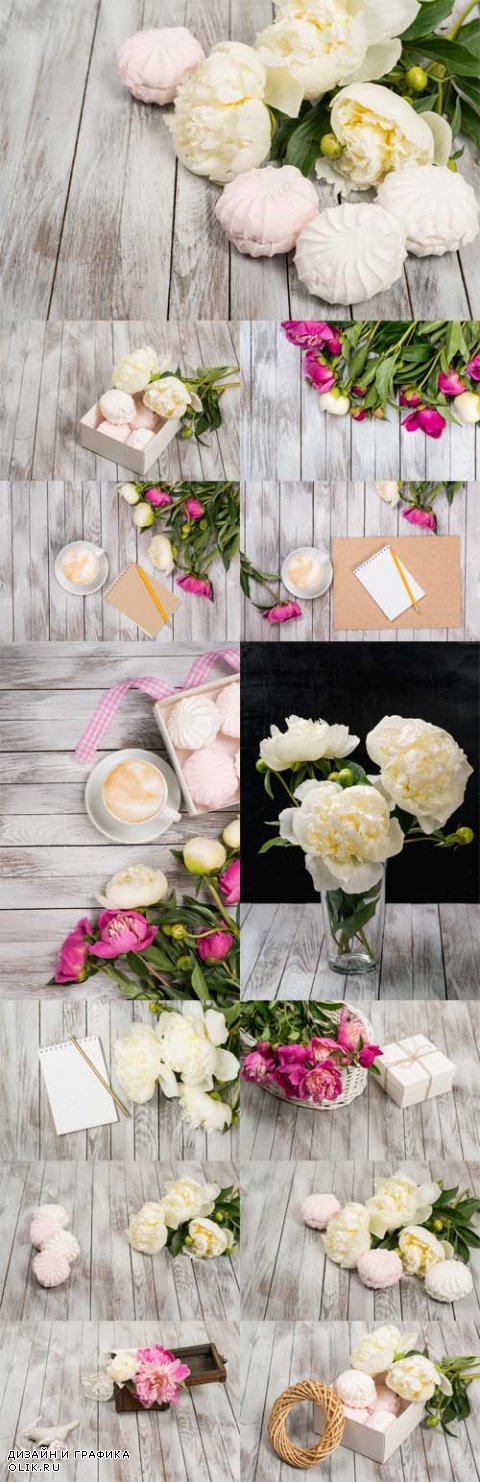 Photo  Beautiful white peonies flowers and marshmallows on white wooden background