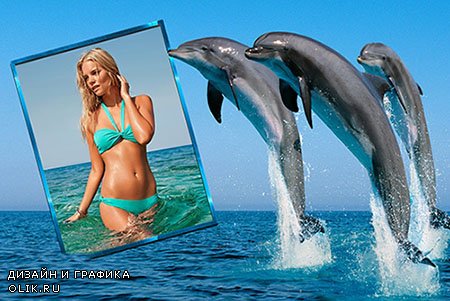 Фоторамка - Море и дельфины