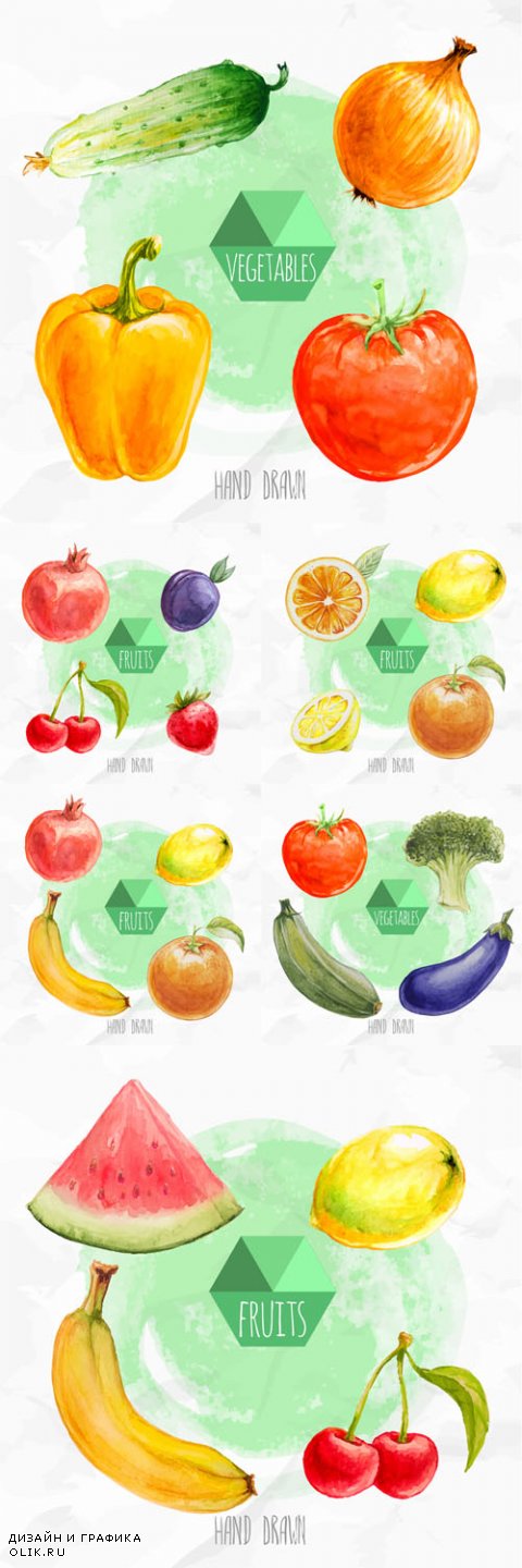 Vector Watercolor Hand Painted Fruits