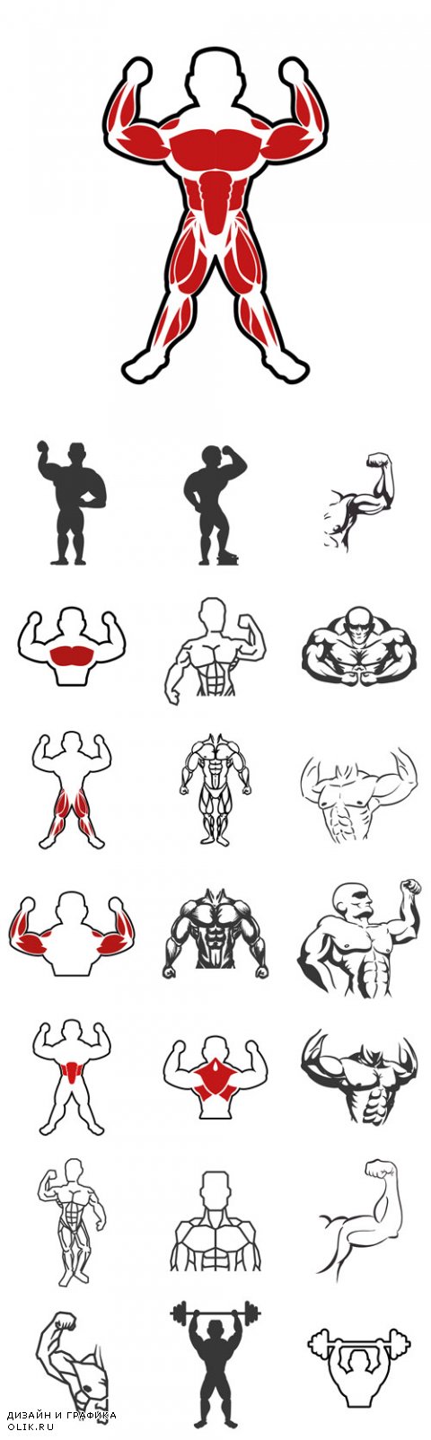 Vector Healthy lifestyle and bodybuilder concept represented by Muscle man icon