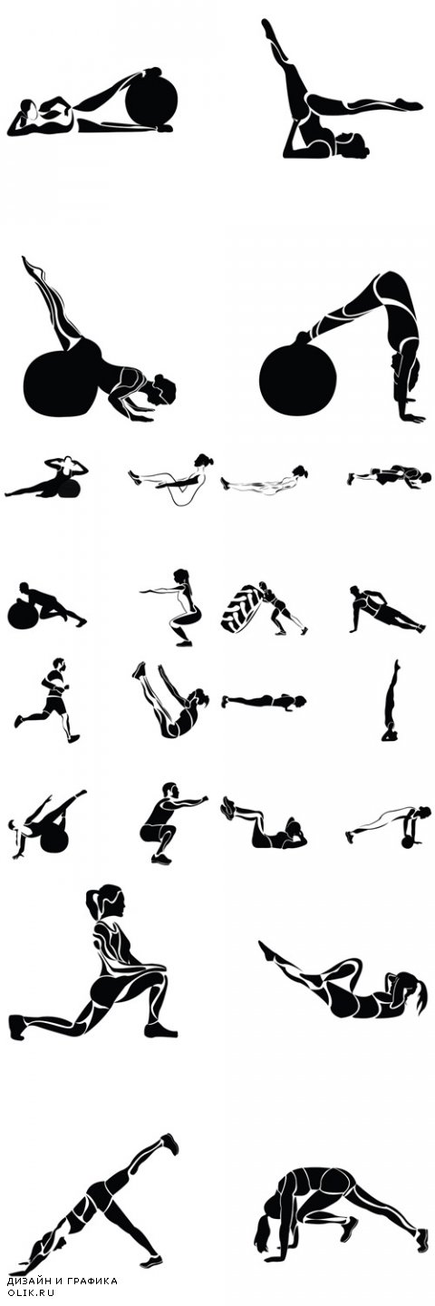 Vector Fitness Exercises
