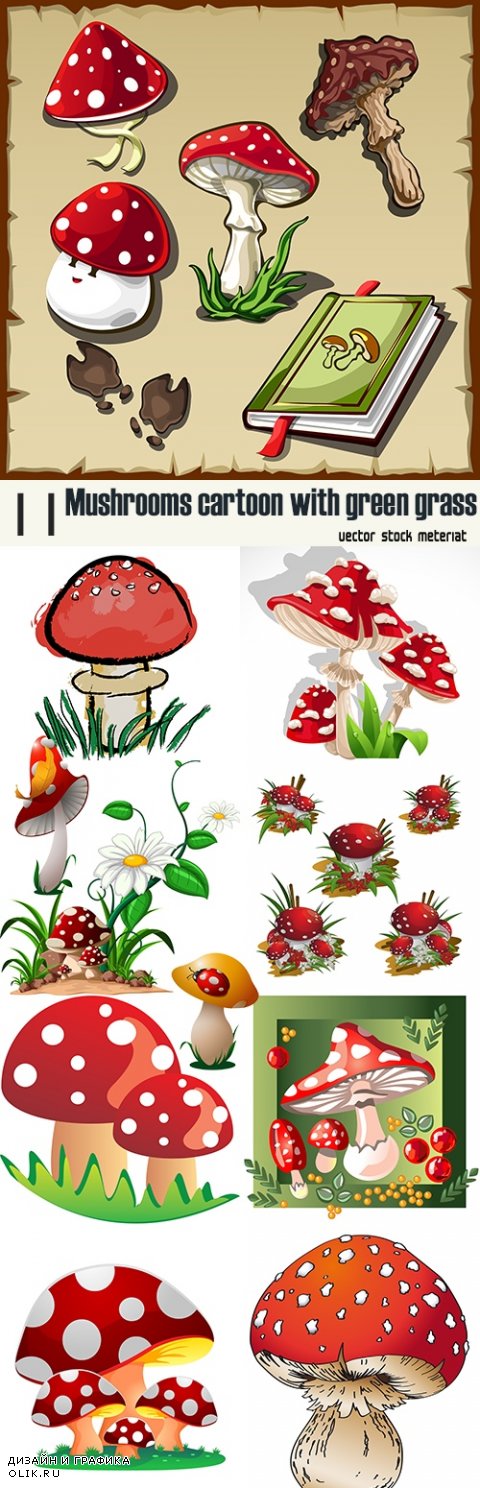 Mushrooms cartoon with green grass