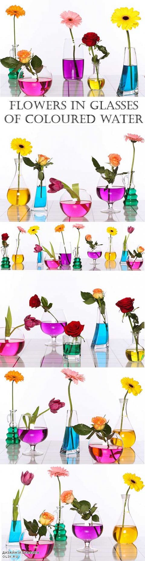 Flowers in glasses of coloured water
