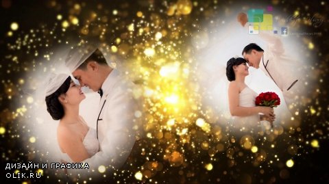 Проект ProShow Producer - Wedding Library Proshow Producer Gold Particles Postcard Opener