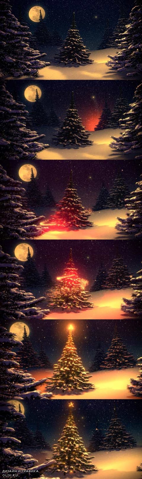 Illuminated Christmas star on the tree - 2