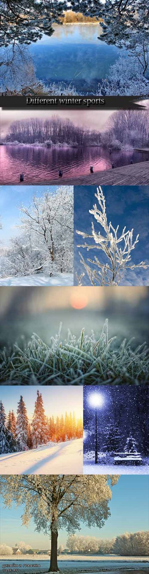 Stunning winter landscapes