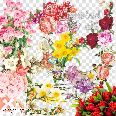  Тюльпаны, лилии, розы, нарциссы на прозрачном фоне