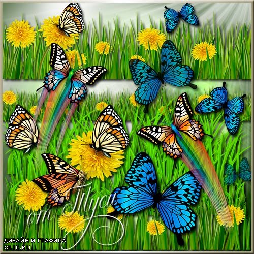Клипарт - Трава, одуванчики, бабочки