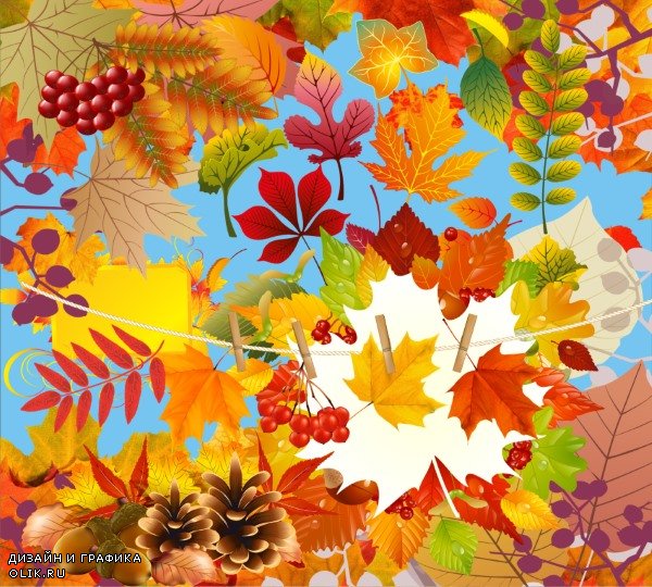 Осенние листья: клипарт на прозрачном фоне. 29 png.