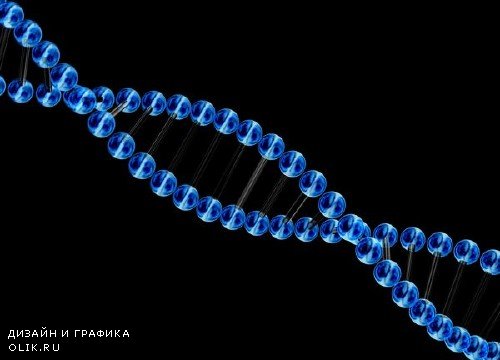Анатомия человека: ДНК (подобрка изображений)
