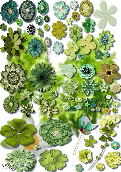 Клипарт для фотошопа на прозрачном фоне - Зеленые цветы