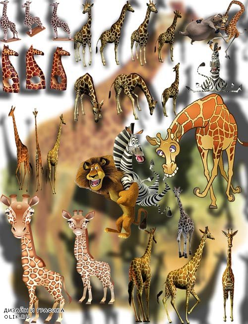 Png на прозрачном фоне - Веселые жирафы