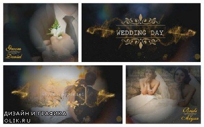 Проект ProShow Producer - Wedding Title Pack 6