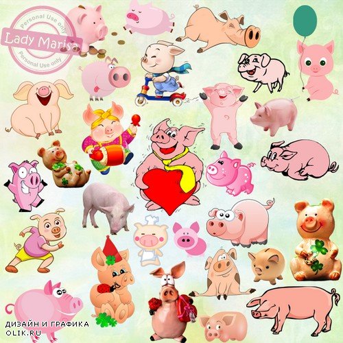 Клипарт на прозрачном фоне - Симпатичные свинки - символ 2019 года