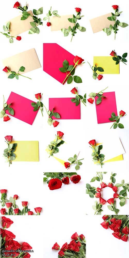 Фоны с красными розами / Backgrounds with red roses