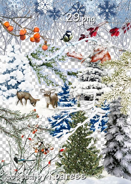 Подборка клипарта на прозрачном фоне - Зимние деревья, кусты, ветки и другие элементы пейзажа