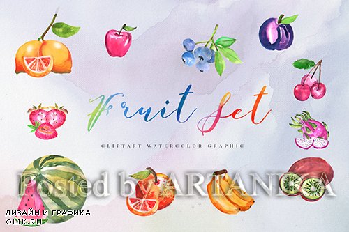 12 Watercolor Tropical Fruit Illustration