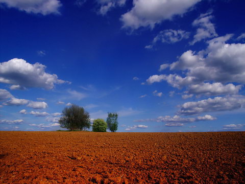 Nature Wallpapers - Обои Природы (84 штуки) Nature Wallpapers - Обои Природы (84 штуки)