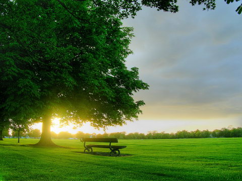 Nature Wallpapers - Обои Природы (84 штуки) Nature Wallpapers - Обои Природы (84 штуки)
