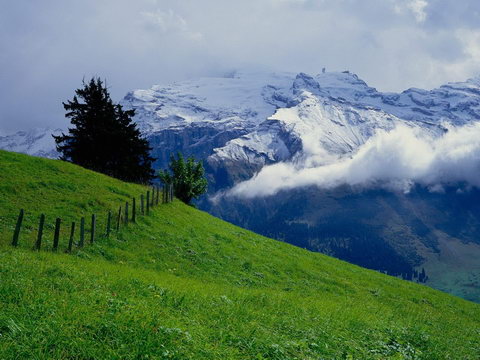 Nature Wallpapers - Обои Природы (84 штуки) Nature Wallpapers - Обои Природы (84 штуки)